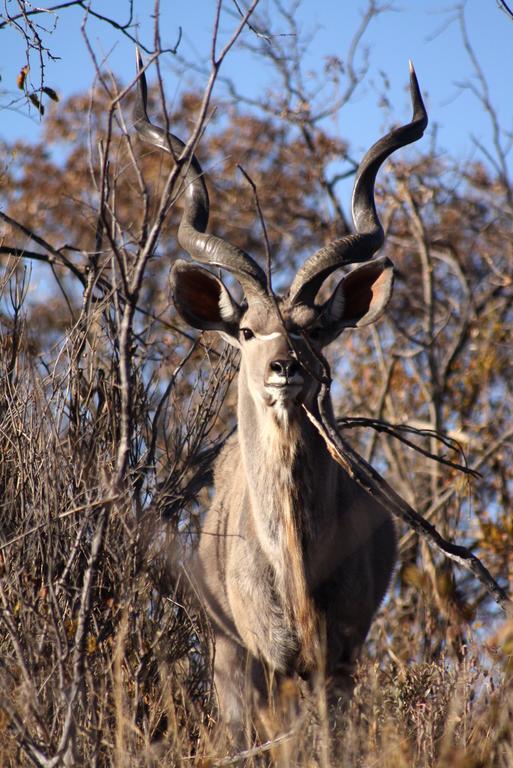 Ouklip Game Lodge Klipdrift Bagian luar foto