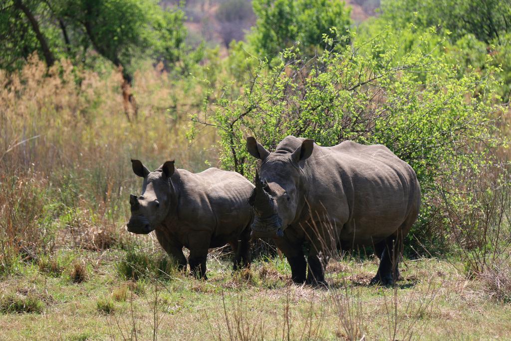 Ouklip Game Lodge Klipdrift Bagian luar foto