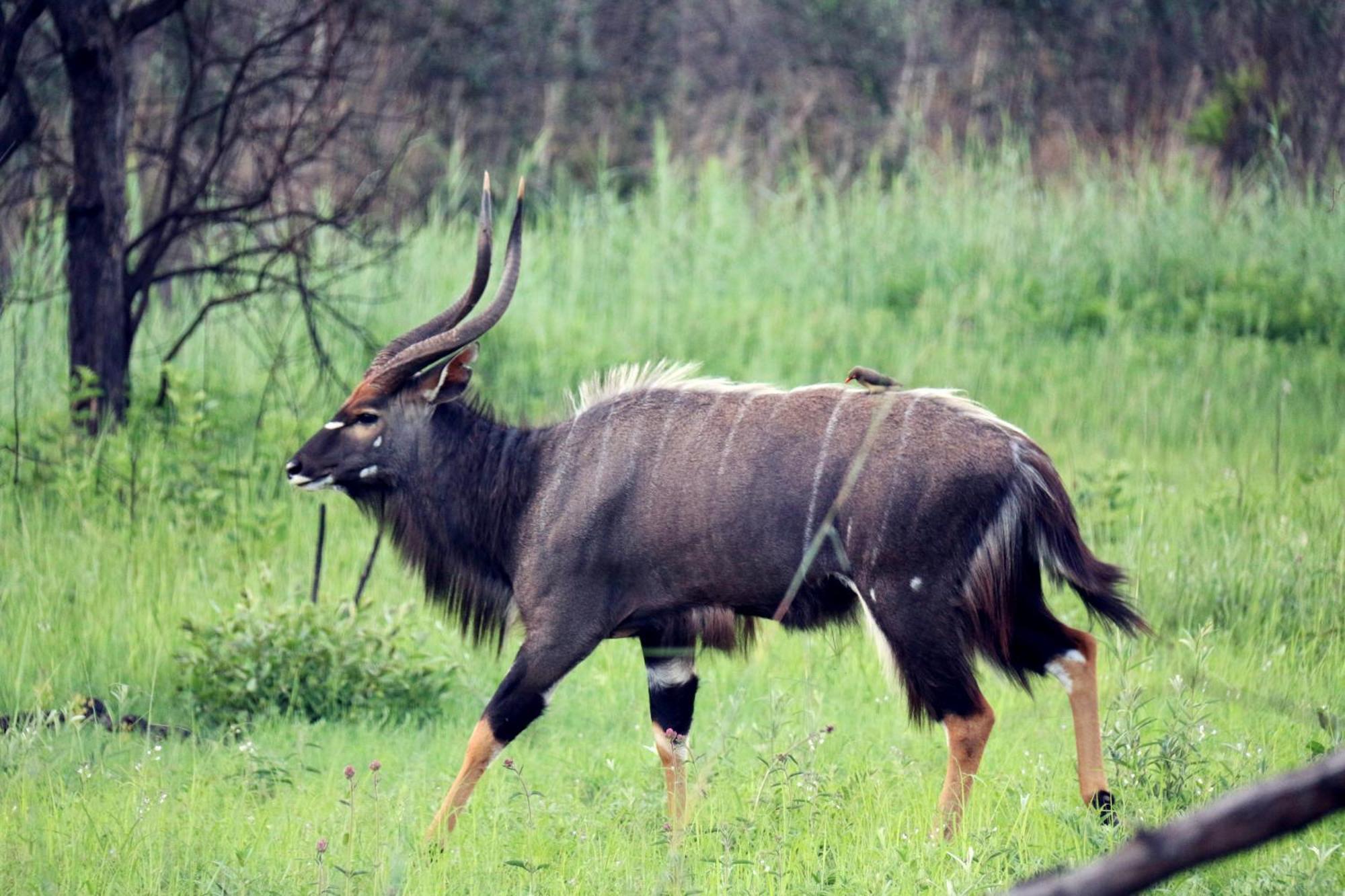 Ouklip Game Lodge Klipdrift Bagian luar foto